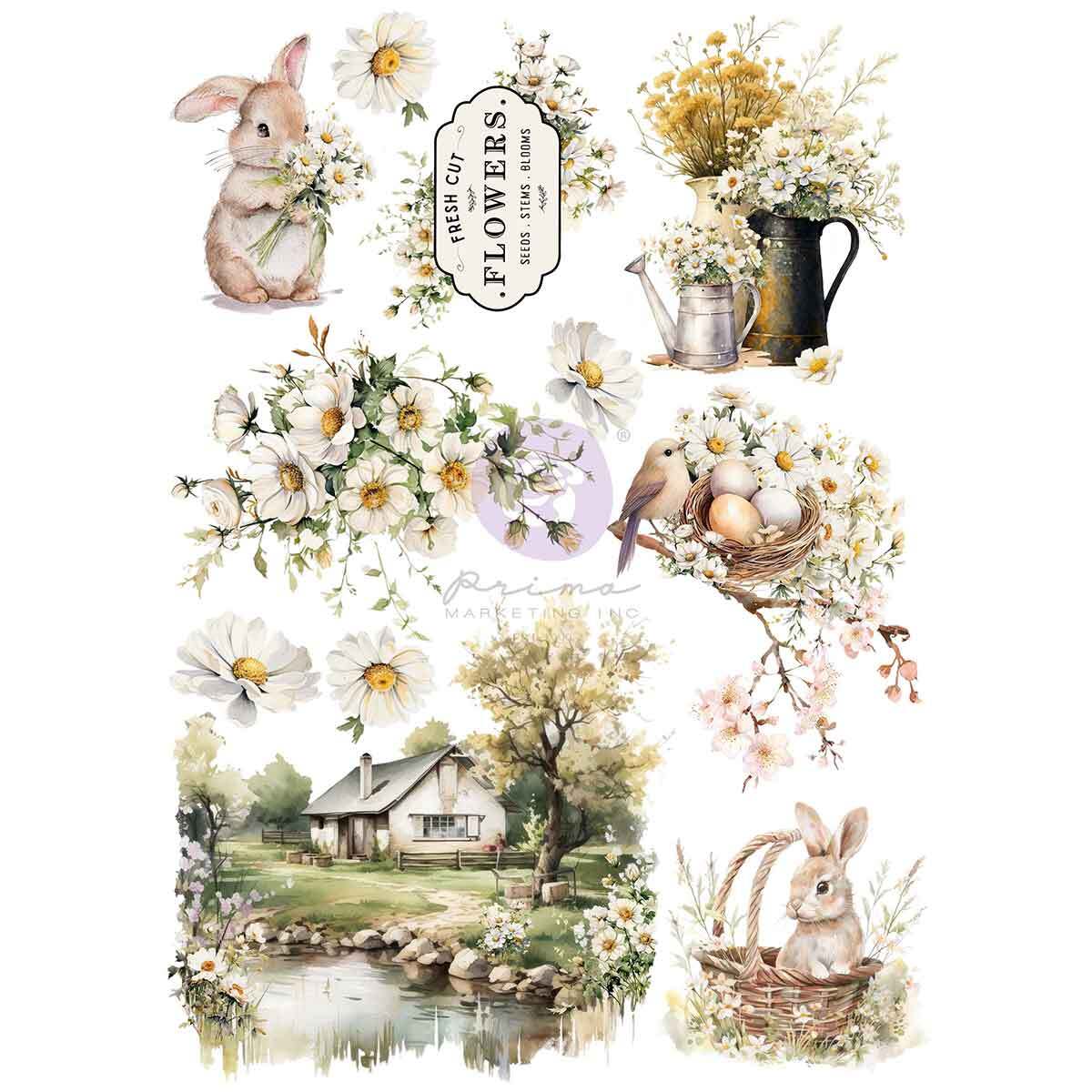 Among the Wildflowers transfers
