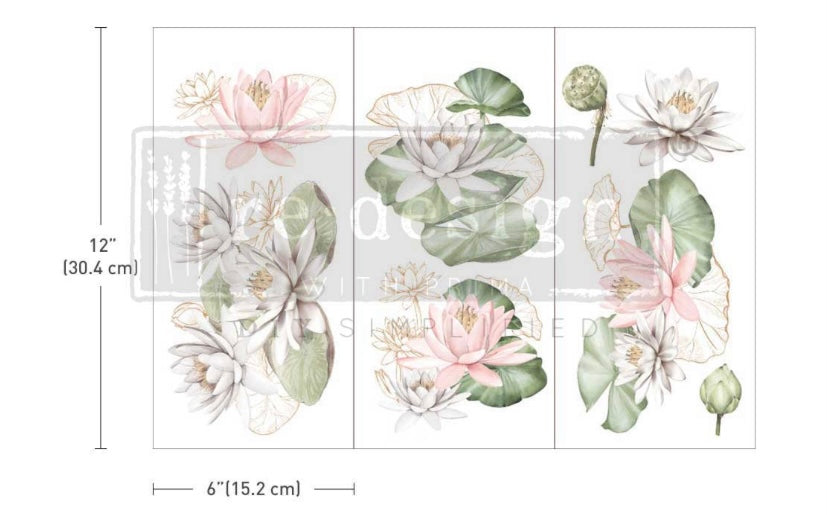 Water Lilies