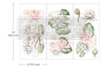 Water Lilies