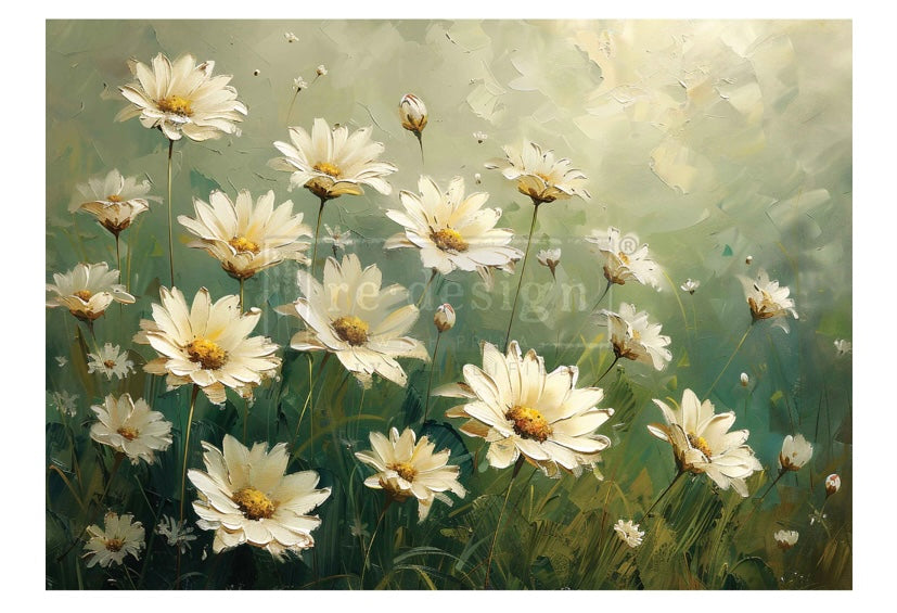 Whispering Daisies