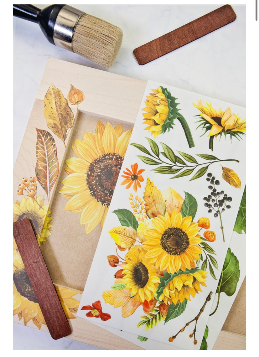 Sunflower Afternoon