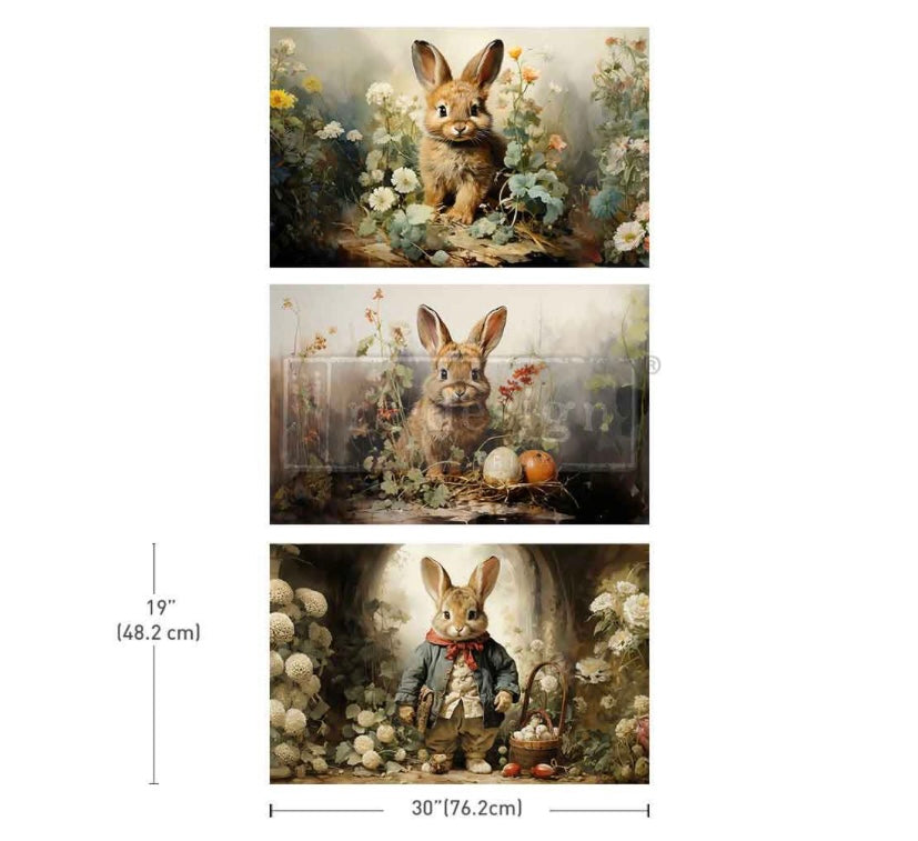 Dreamy Bunnies