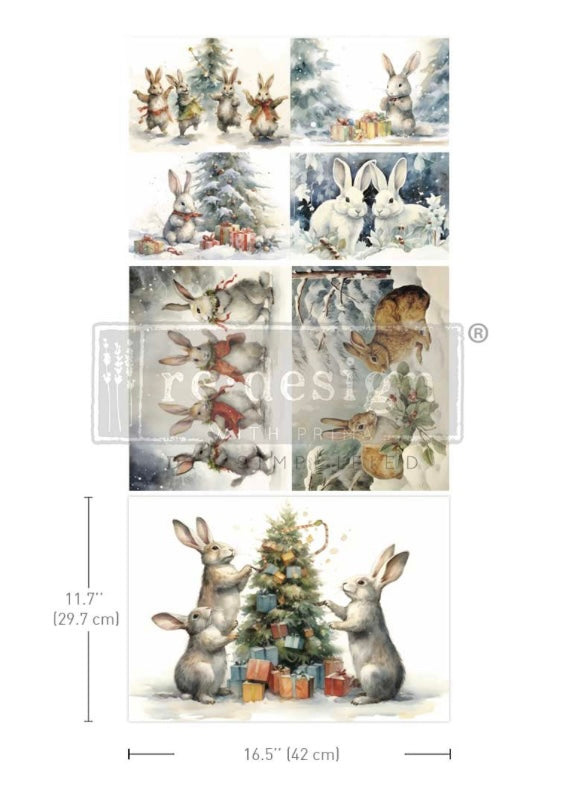 Bunny Wonderland
