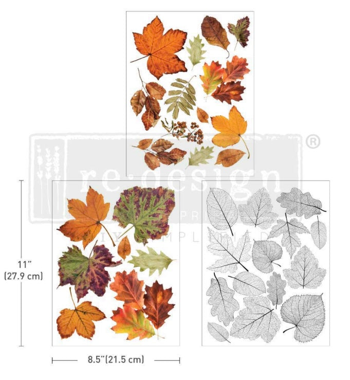 Crunchy Leaves Forever