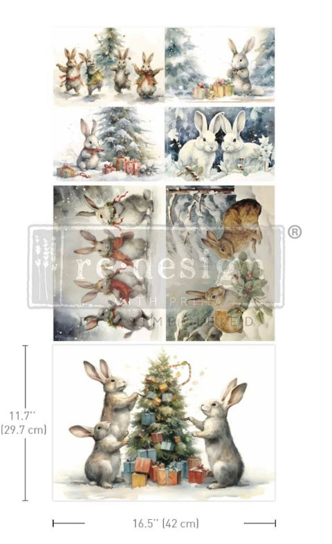 Bunny Wonderland