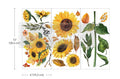 Sunflower Afternoon